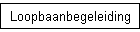 Loopbaanbegeleiding
