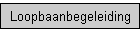Loopbaanbegeleiding