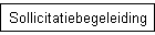Sollicitatiebegeleiding