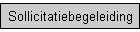 Sollicitatiebegeleiding